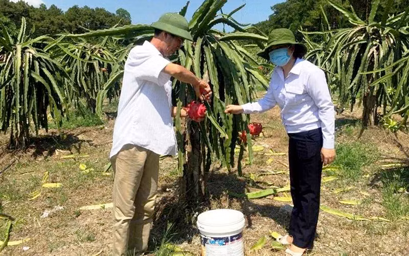 Quảng Ninh quyết tâm chuyển đổi số trong nông nghiệp -0
