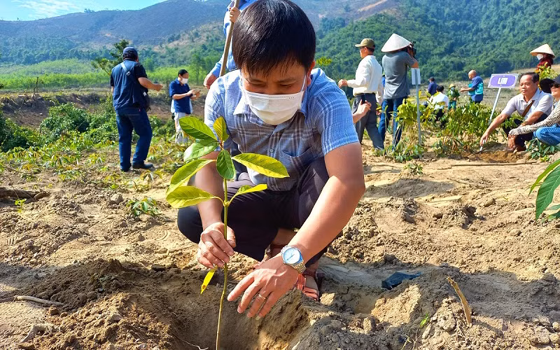 Đại biểu tham gia trồng rừng đầu nguồn sông Gianh (Quảng Bình) bằng cây bản địa.