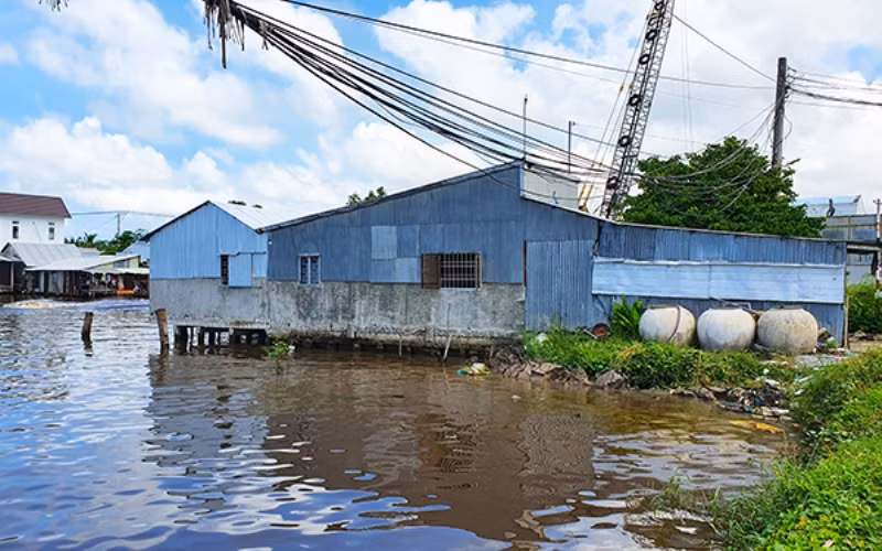 Thi nhau lấp dòng kênh xáng Xẻo Rô -0