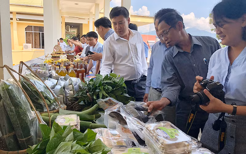 Tham gia, trưng bày giới thiệu hàng nông sản là cách giúp nông sản tiếp cận, tìm kiếm thị trường rộng mở hơn.