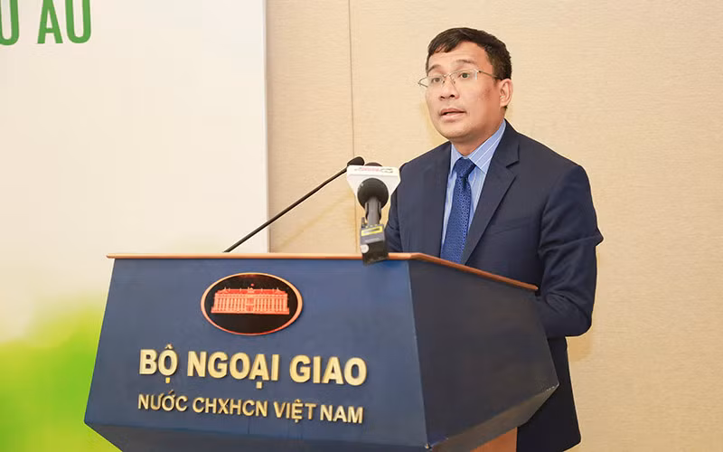 Nỗ lực đẩy mạnh xuất khẩu rau quả Việt Nam sang Liên minh Châu Âu -0
