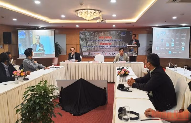 Tìm giải pháp phát triển bền vững quế Việt Nam -0