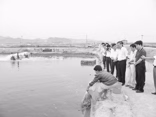 Các đại biểu dự hội thảo tham quan khu nuôi tôm theo công nghệ vi sinh tại Công ty cổ phần thủy sản BIM (Quảng Ninh).
