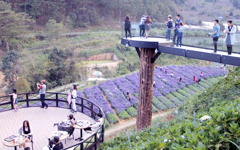 Cánh đồng hoa tại Đà Lạt thu hút du khách.