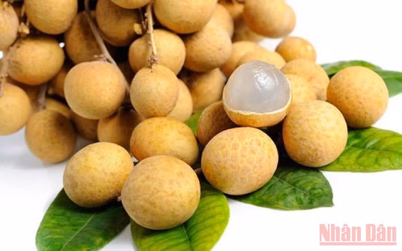 Nhãn chín muộn giá rẻ như cho -0