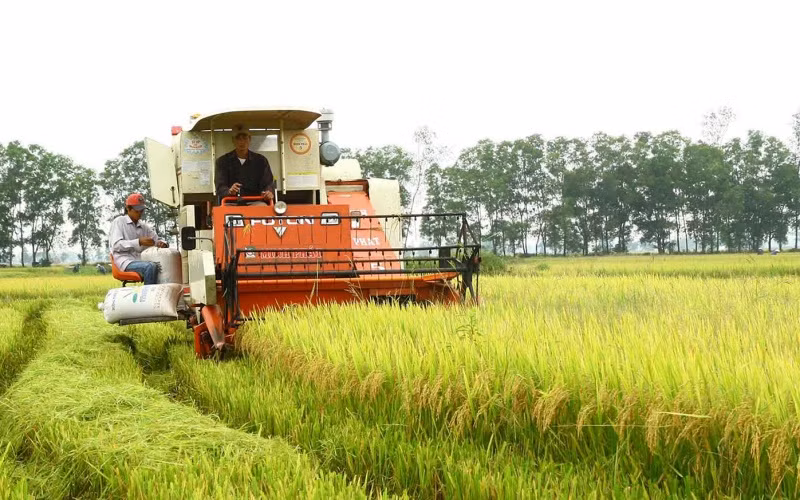 Phát triển nông nghiệp vẫn là bệ đỡ của kinh tế Quảng Trị. 