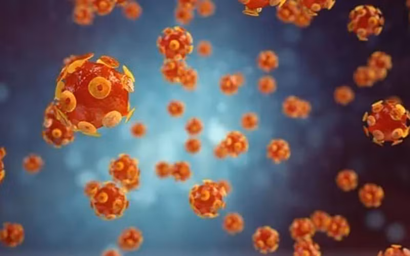 Hình ảnh mô phỏng virus gây bệnh viêm gan. (Ảnh: Getty Images/TTXVN)