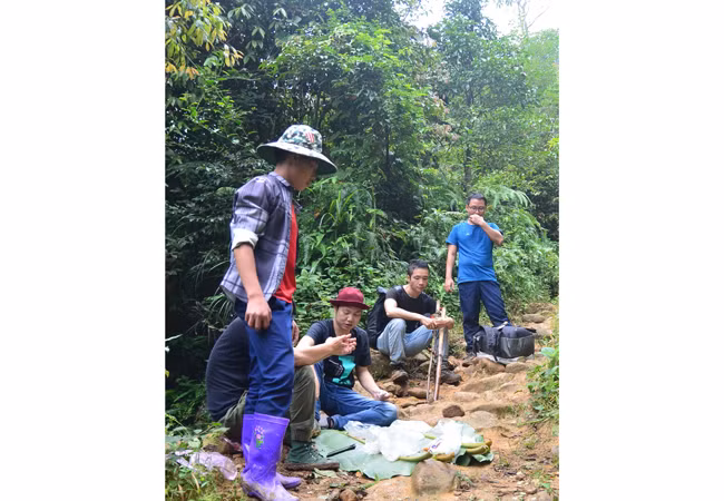 Săn mây ở 3.046 m -0