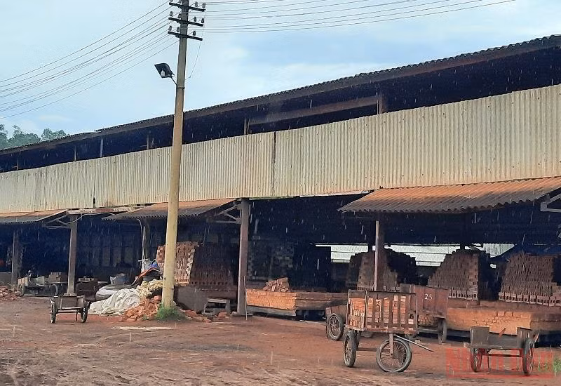 Nhà máy gạch tuynel tại tổ 19 phường Him Lam phải tháo dỡ toàn bộ trước ngày 15/11/2021.