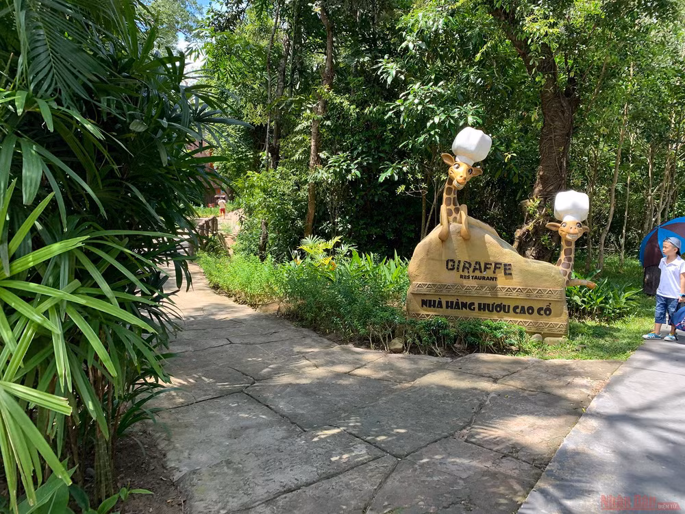 Trải nghiệm công viên động vật hoang dã Safari Phú Quốc -1