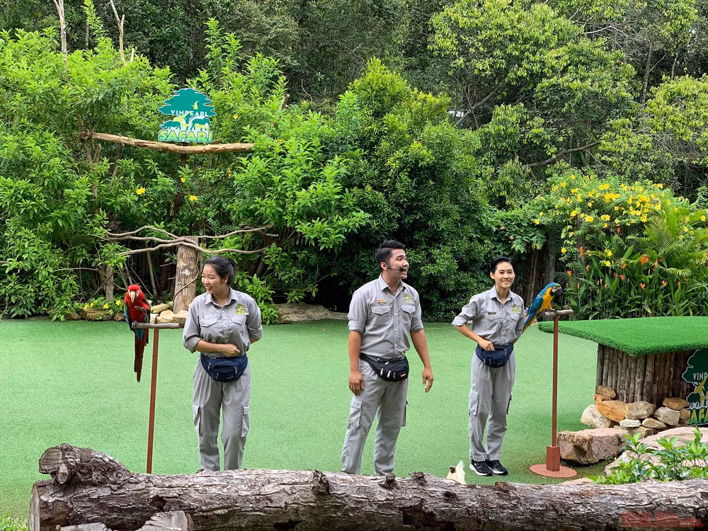 13_safari_phu_quoc-1593508290613.jpg