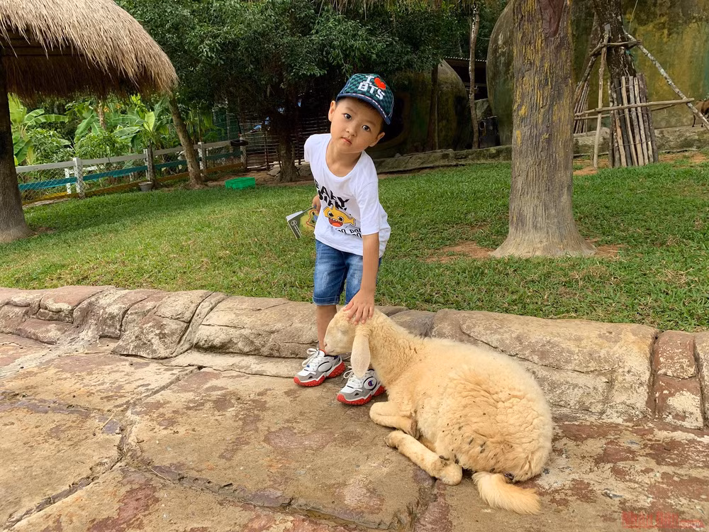 Trải nghiệm công viên động vật hoang dã Safari Phú Quốc -1
