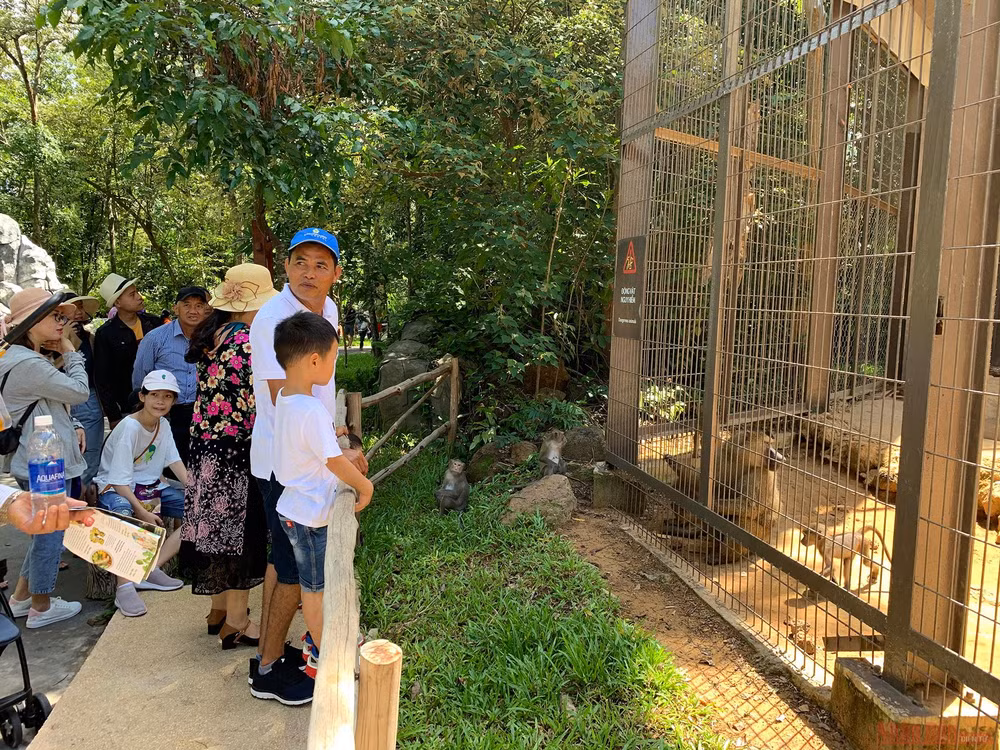 17_safari_phu_quoc-1593508325067.jpg