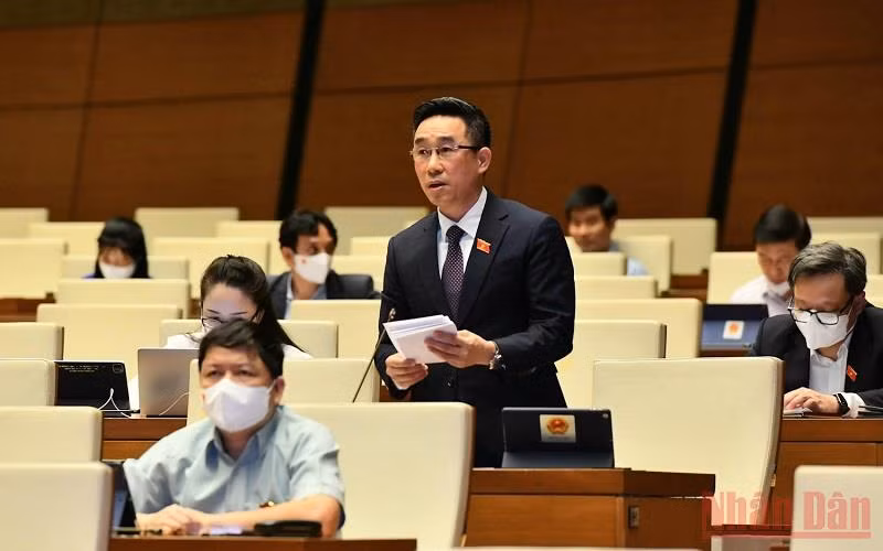 Đại biểu Quốc hội Nguyễn Hải Anh (Đồng Tháp) phát biểu tại phiên thảo luận trực tuyến về tình hình thực hiện chính sách, chế độ bảo hiểm xã hội, quản lý và sử dụng Quỹ bảo hiểm xã hội năm 2020.