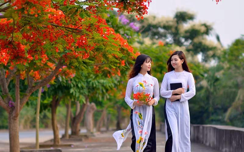 Cây xanh là bản sắc và cảnh quan đô thị