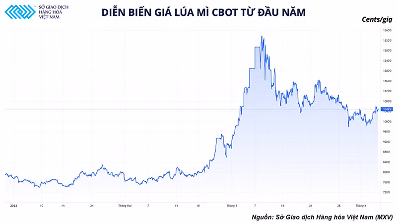 Lúa mì Ấn Độ trở thành&nbsp;cứu cánh cho nguồn cung toàn cầu -0