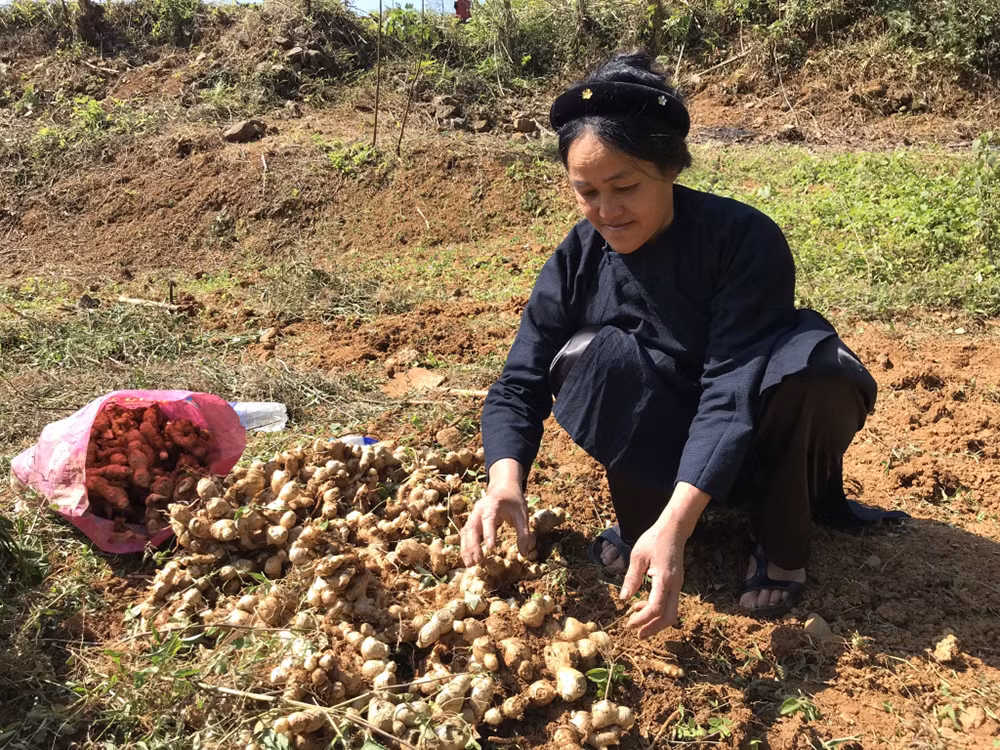 35 tỷ đồng hỗ trợ trực tiếp hơn 15.000 người dân khó khăn huyện Hà Quảng -0