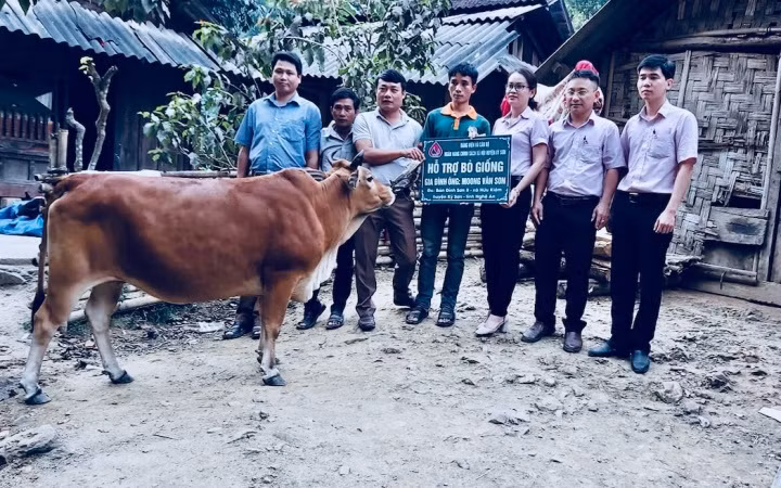 Ngân hàng chính sách xã hội huyện trao tặng bò giống cho hộ nghèo của xã Hữu Kiệm.