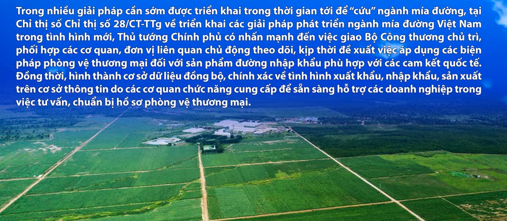 Mía đường “lâm nguy” -0
