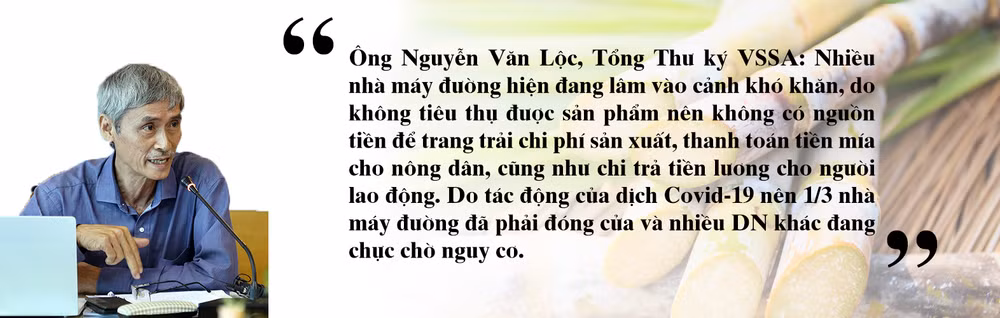 quote1-1599632222301.jpg