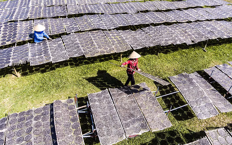 Sản xuất bánh đa cung cấp thị trường Tết tại làng nghề Đô Lương (huyện Đô Lương, tỉnh Nghệ An). Ảnh: NGUYỄN ĐĂNG