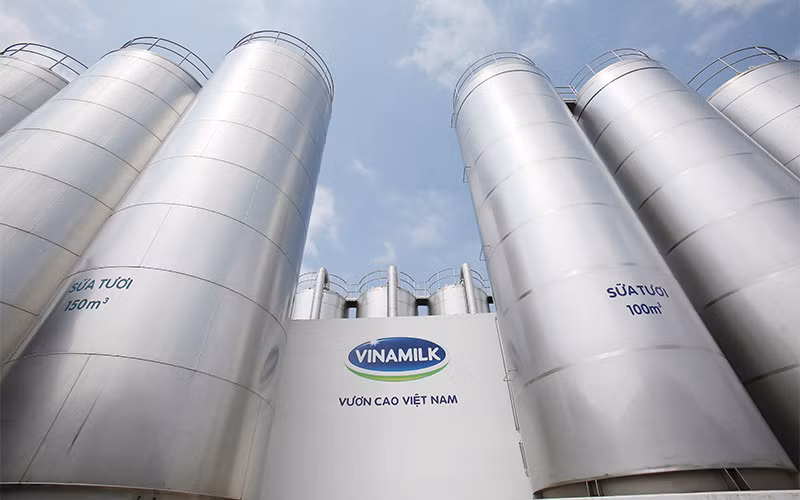 Sản phẩm Vinamilk đã có mặt tại 56 thị trường, đưa thương hiệu dần trở nên phổ biến với người tiêu dùng thế giới. (Ảnh minh họa: VNM)