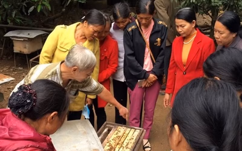 Tăng cường tham gia của người khuyết tật vào công tác phòng, chống thiên tai -0