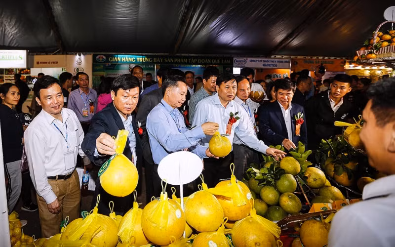 Khai mạc “Hội chợ Nông nghiệp và triển lãm sản phẩm OCOP vùng trung du miền núi phía bắc - Tuần lễ cam Cao Phong năm 2020” -0