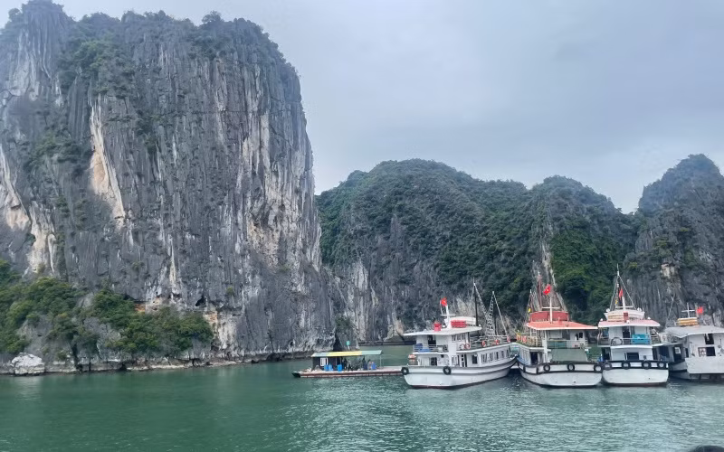 Tàu du lịch đưa khách tham quan Vịnh Hạ Long, Quảng Ninh.
