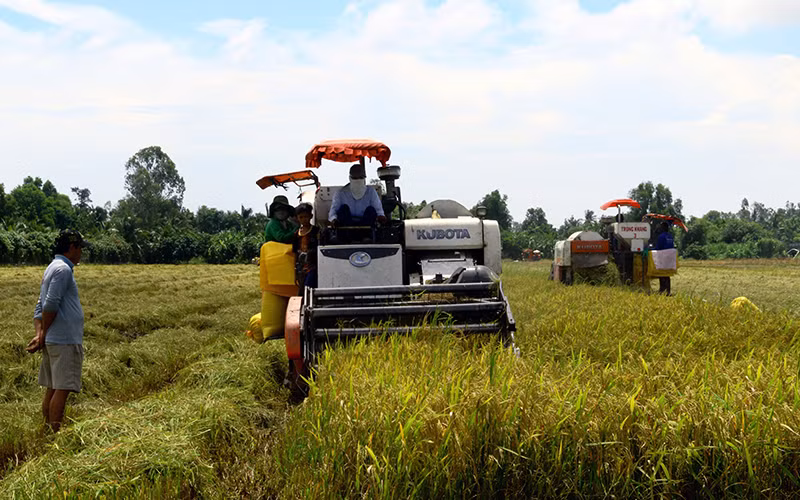 Linh hoạt cách làm để tiêu thụ nông sản -0