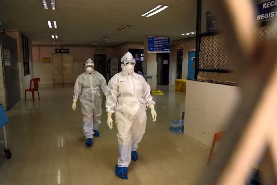 Cảnh báo virus từ dơi gây phù não có thể là đại dịch tiếp theo -0