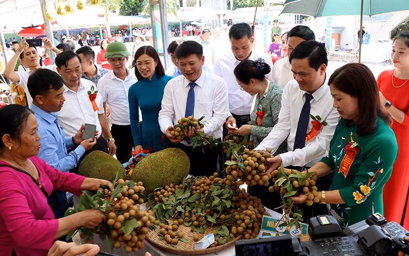 Giới thiệu thương hiệu nhãn của tỉnh Sơn La tại Ngày hội nhãn Sông Mã năm 2020. 