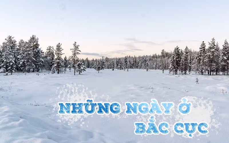 Những ngày ở Bắc Cực