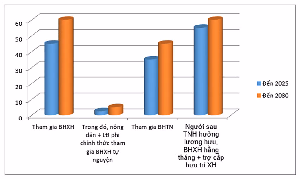 chart11-1609057564024.jpg
