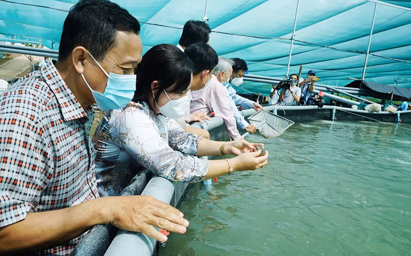 Sóc Trăng áp dụng cơ chế “Thích ứng, an toàn, linh hoạt, kiểm soát hiệu quả dịch Covid-19” -0