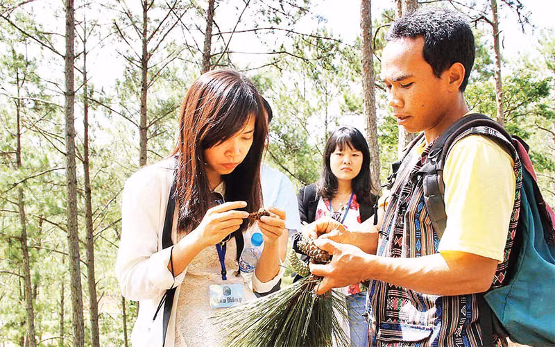 Một thanh niên dân tộc Cơ Ho tại huyện Lạc Dương (Lâm Ðồng) làm hướng dẫn viên du lịch trải nghiệm rừng. 