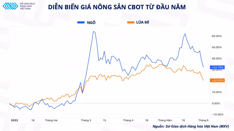 Nga thiết lập hành lang nhân đạo: Liệu nút thắt cho nguồn cung lúa mì sẽ được gỡ bỏ? -0