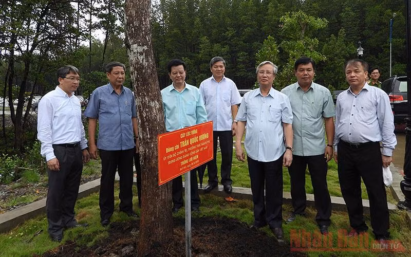 Thường trực Ban Bí thư làm việc với Ban Thường vụ Huyện ủy Năm Căn -0