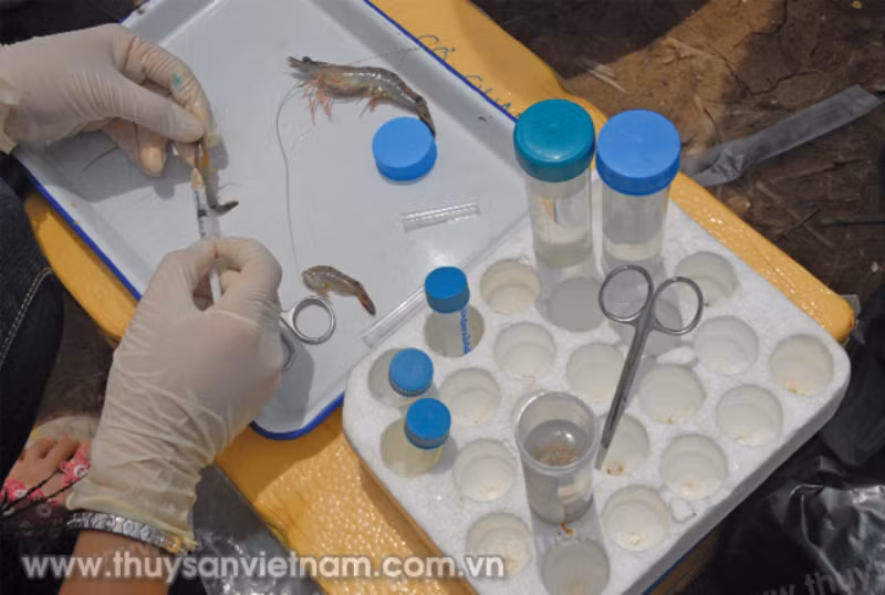 Kiểm soát tốt dịch bệnh cây trồng, vật nuôi -0