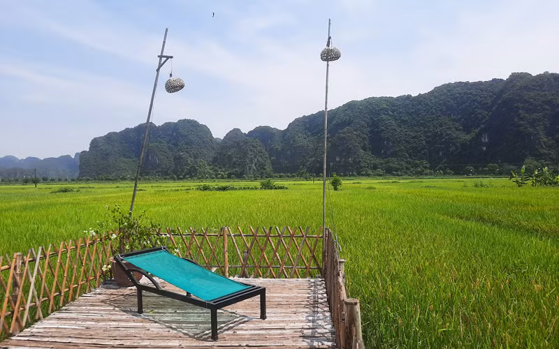 Những cánh đồng lúa ở Tam Cốc chuẩn bị vào độ đẹp nhất. Năm nay do dịch Covid-19, "Sắc vàng Tam Cốc - Tràng An" lại lỡ hẹn với du khách (Ảnh: H.B)