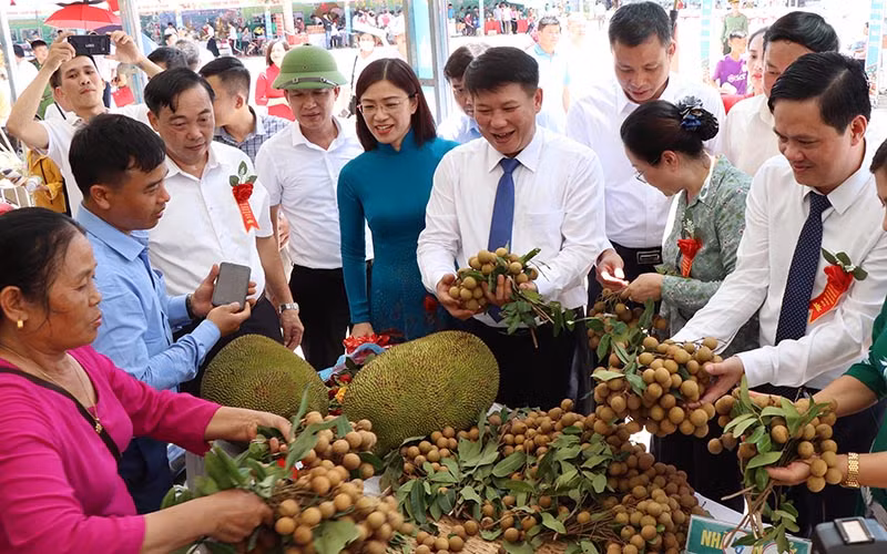 Sơn La xuất chính ngạch gần 30 tấn nhãn sang Trung Quốc