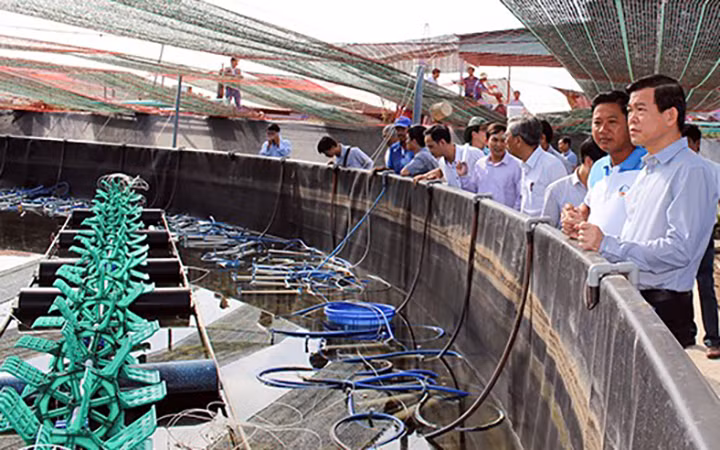 Lãnh đạo tỉnh Bà Rịa - Vũng Tàu tham quan mô hình nuôi tôm công nghệ cao tại cơ sở nuôi Liên Giang (huyện Long Điền).