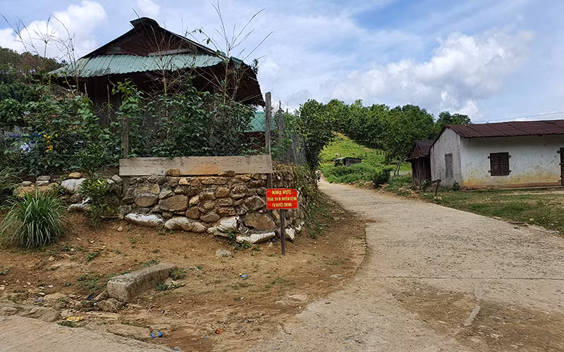 Sớm dập dịch tụ huyết trùng trên trâu bò -0
