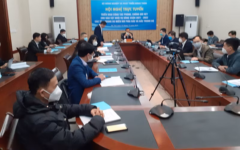 Các đại biểu dự Hội nghị.