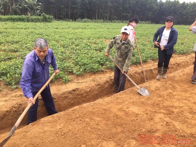 Lao động đổi công tại thôn Cao Cảnh, xã Cao Quảng, huyện Tuyên Hóa, Quảng Bình.
