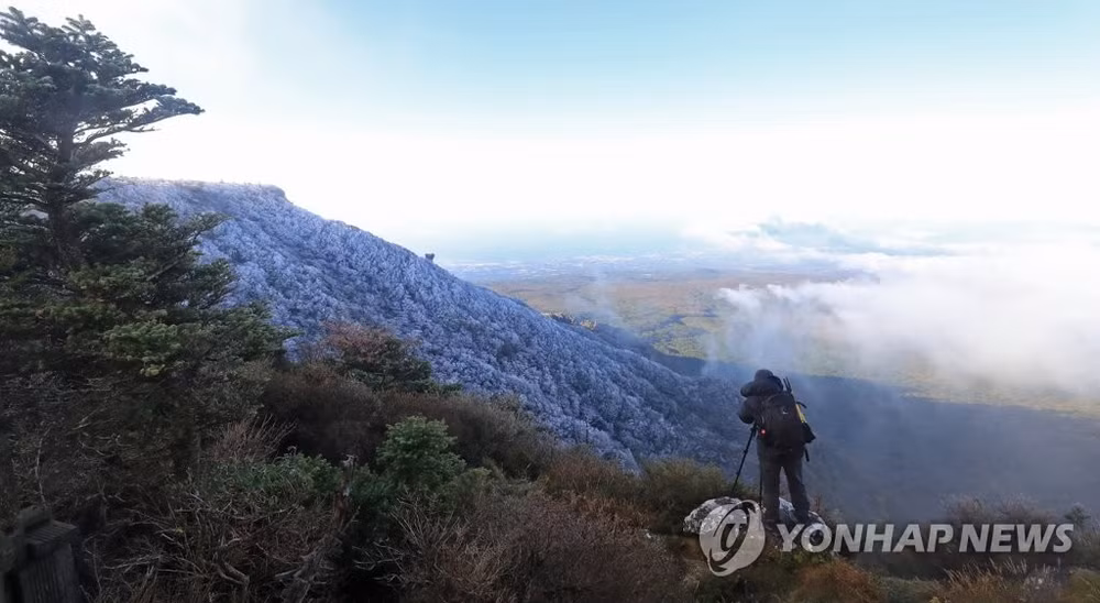 Băng giá xuất hiện giữa mùa thu ở Hàn Quốc -0