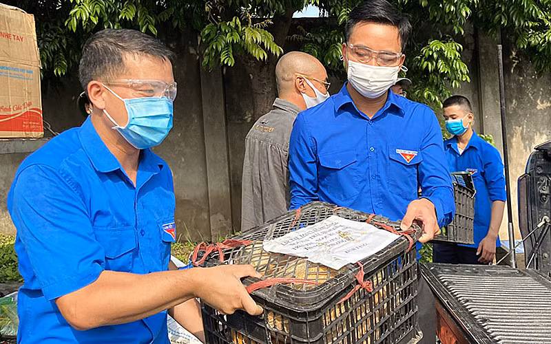 Tuổi trẻ các tỉnh Hà Giang và Lào Cai hỗ trợ Thủ đô chống dịch -0