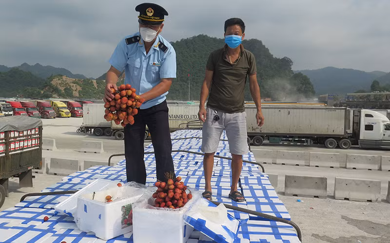 Gỡ khó cho xuất khẩu nông sản sang Trung Quốc -0