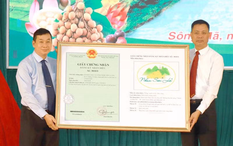 Cục Sở hữu trí tuệ trao Giấy chứng nhận đăng ký nhãn hiệu “nhãn Sơn La” cho tỉnh Sơn La.