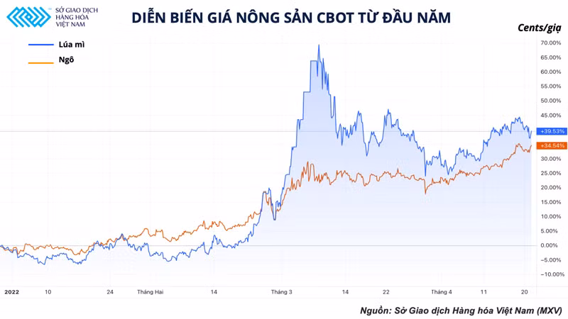 Giá nông sản vẫn đang ở mức đỉnh trong nhiều năm, giải pháp nào cho các nước nhập khẩu? -0